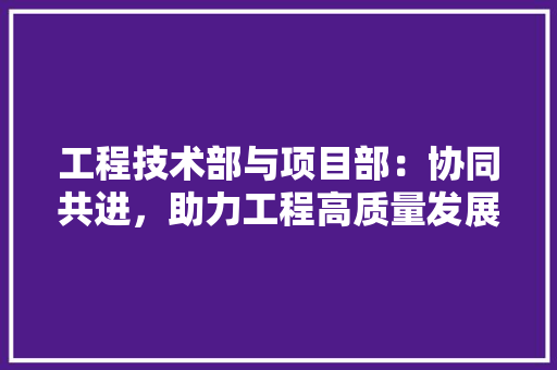 工程技术部与项目部：协同共进，助力工程高质量发展
