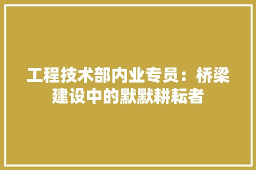 工程技术部内业专员：桥梁建设中的默默耕耘者 现代风格装饰