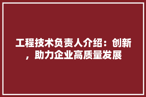 工程技术负责人介绍：创新，助力企业高质量发展 现代风格装饰