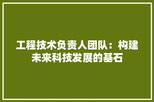 工程技术负责人团队：构建未来科技发展的基石 现代风格装饰