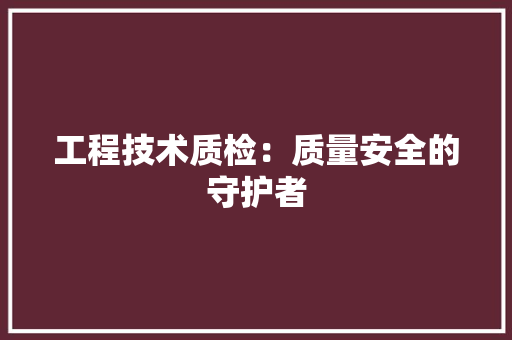 工程技术质检：质量安全的守护者 现代风格装饰