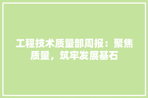 工程技术质量部周报：聚焦质量，筑牢发展基石 现代风格装饰