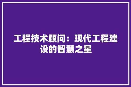 工程技术顾问：现代工程建设的智慧之星