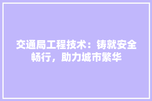 交通局工程技术：铸就安全畅行，助力城市繁华 家居装修