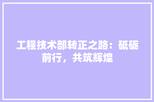 工程技术部转正之路：砥砺前行，共筑辉煌