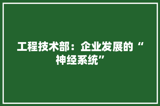 工程技术部：企业发展的“神经系统”