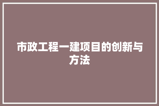 市政工程一建项目的创新与方法