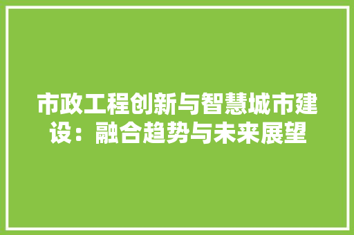 市政工程创新与智慧城市建设：融合趋势与未来展望 中式风格装饰