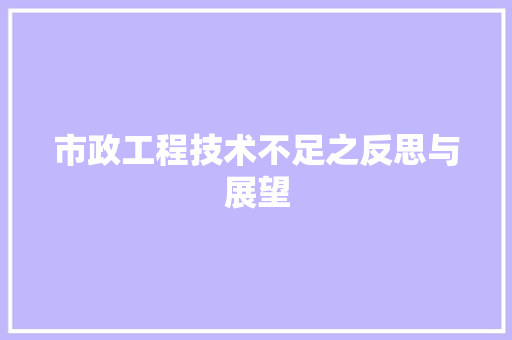 市政工程技术不足之反思与展望 中式风格装饰