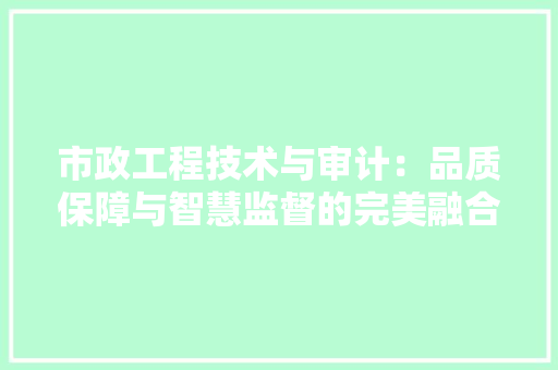 市政工程技术与审计：品质保障与智慧监督的完美融合