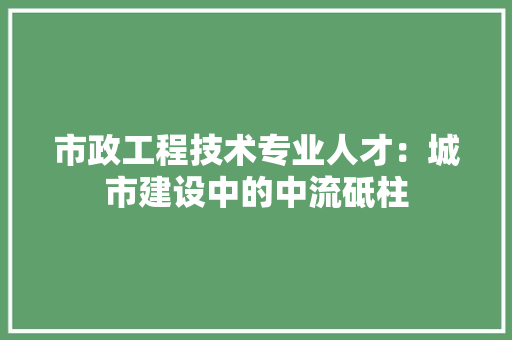 市政工程技术专业人才：城市建设中的中流砥柱