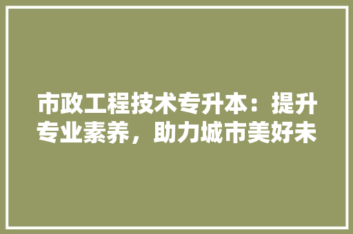 市政工程技术专升本：提升专业素养，助力城市美好未来