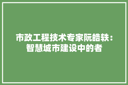市政工程技术专家阮皓轶：智慧城市建设中的者