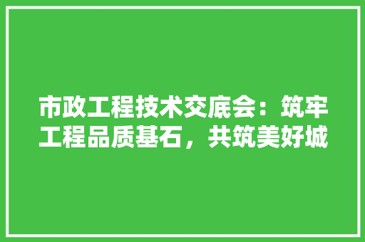 市政工程技术交底会：筑牢工程品质基石，共筑美好城市未来