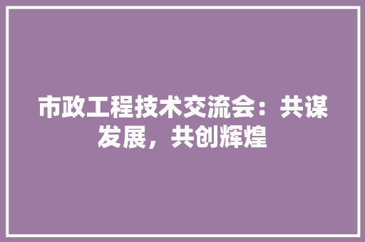 市政工程技术交流会：共谋发展，共创辉煌