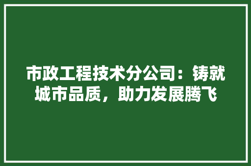 市政工程技术分公司：铸就城市品质，助力发展腾飞