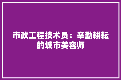 市政工程技术员：辛勤耕耘的城市美容师 中式风格装饰
