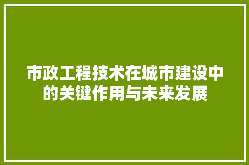 市政工程技术在城市建设中的关键作用与未来发展 中式风格装饰