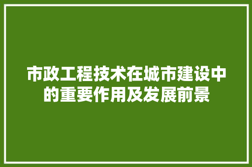 市政工程技术在城市建设中的重要作用及发展前景 中式风格装饰