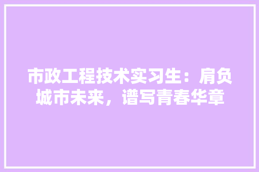 市政工程技术实习生：肩负城市未来，谱写青春华章