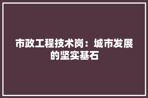 市政工程技术岗：城市发展的坚实基石
