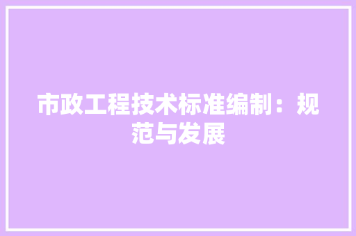 市政工程技术标准编制：规范与发展 中式风格装饰