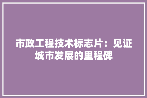 市政工程技术标志片：见证城市发展的里程碑
