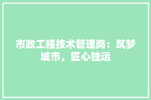 市政工程技术管理岗：筑梦城市，匠心独运