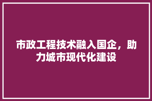 市政工程技术融入国企，助力城市现代化建设