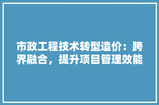 市政工程技术转型造价：跨界融合，提升项目管理效能 中式风格装饰
