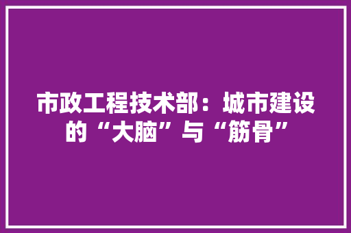 市政工程技术部：城市建设的“大脑”与“筋骨” 中式风格装饰