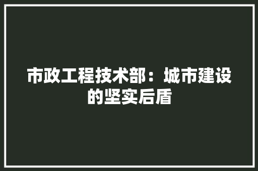 市政工程技术部：城市建设的坚实后盾 中式风格装饰