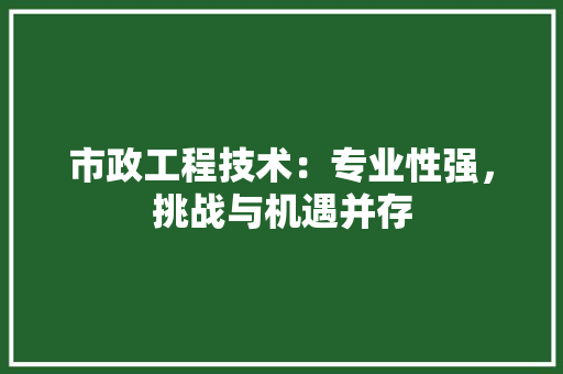 市政工程技术：专业性强，挑战与机遇并存 中式风格装饰