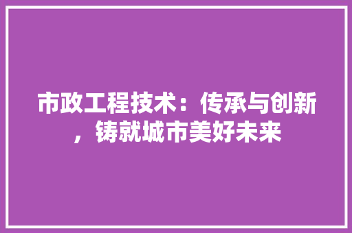 市政工程技术：传承与创新，铸就城市美好未来