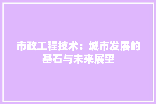 市政工程技术：城市发展的基石与未来展望