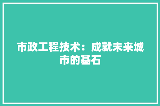 市政工程技术：成就未来城市的基石