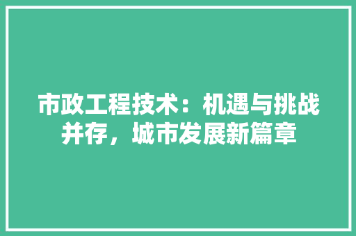 市政工程技术：机遇与挑战并存，城市发展新篇章