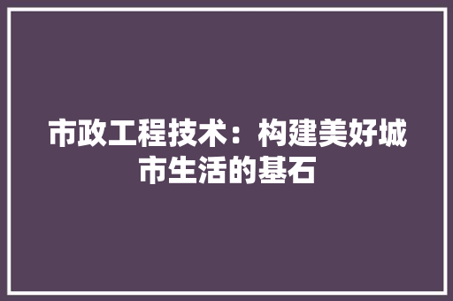 市政工程技术：构建美好城市生活的基石