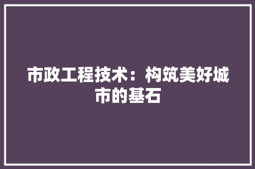 市政工程技术：构筑美好城市的基石