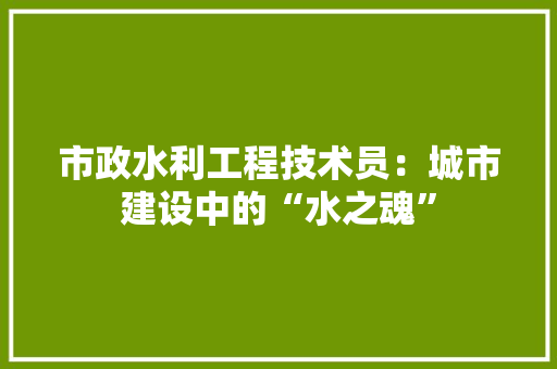 市政水利工程技术员：城市建设中的“水之魂” 中式风格装饰