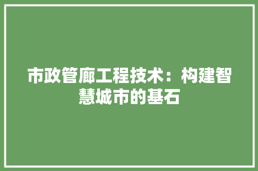 市政管廊工程技术：构建智慧城市的基石 中式风格装饰