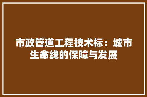市政管道工程技术标：城市生命线的保障与发展 中式风格装饰