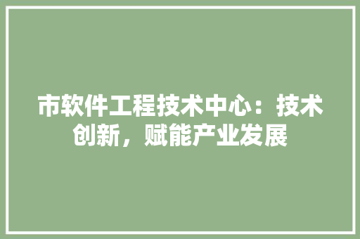 市软件工程技术中心：技术创新，赋能产业发展 中式风格装饰