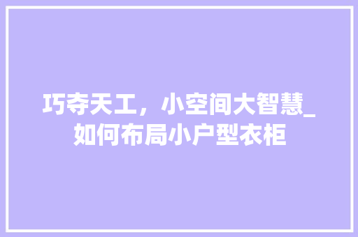 巧夺天工，小空间大智慧_如何布局小户型衣柜