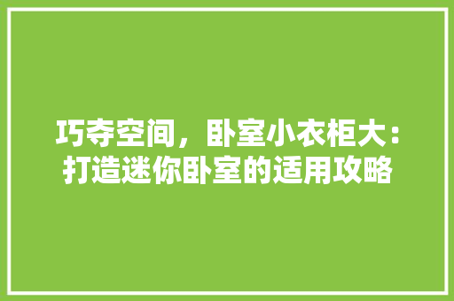 巧夺空间，卧室小衣柜大：打造迷你卧室的适用攻略