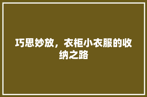 巧思妙放，衣柜小衣服的收纳之路 中式风格装饰