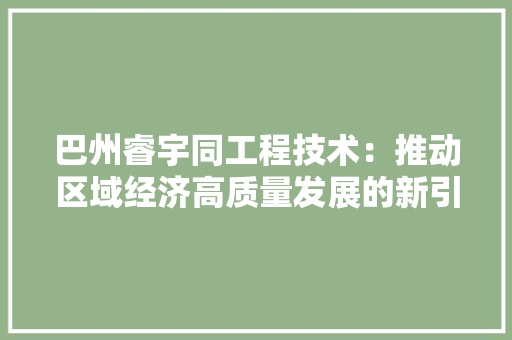 巴州睿宇同工程技术：推动区域经济高质量发展的新引擎