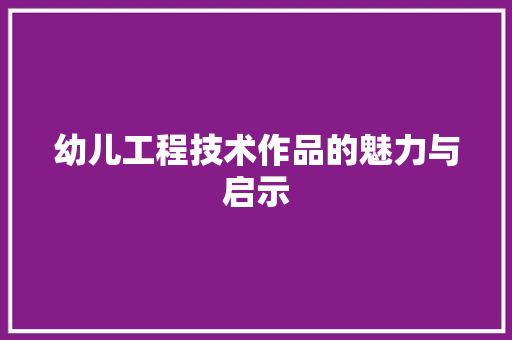 幼儿工程技术作品的魅力与启示