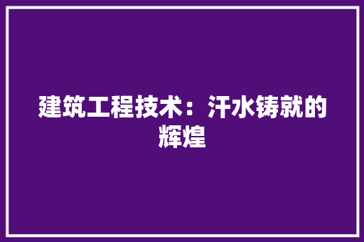 建筑工程技术：汗水铸就的辉煌 中式风格装饰