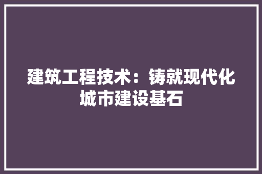 建筑工程技术：铸就现代化城市建设基石 中式风格装饰